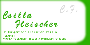 csilla fleischer business card